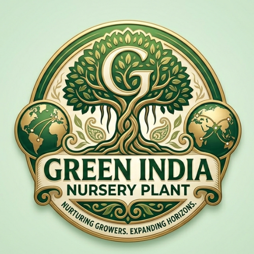 Green India Nursery Plant