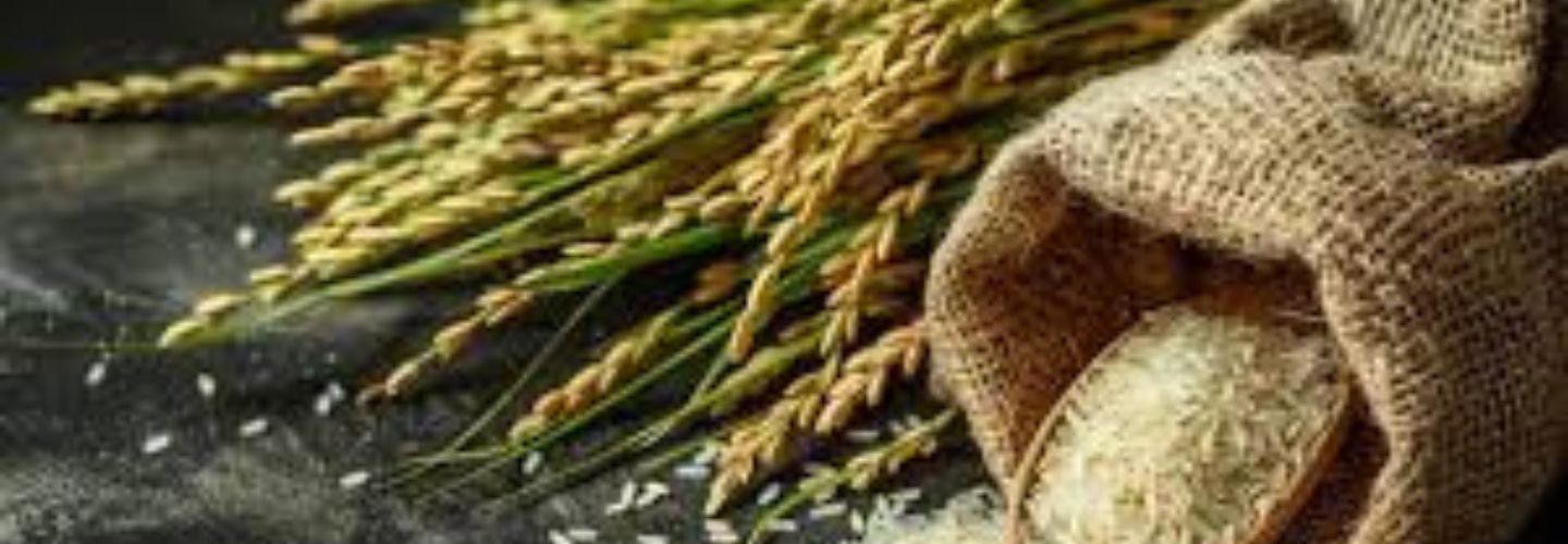 Arthan Seeds Private Limited