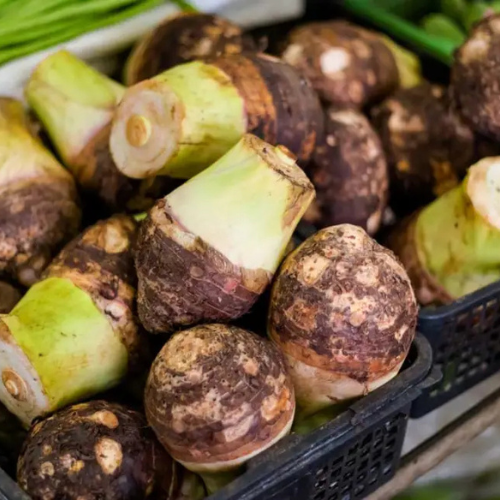 Taro Root