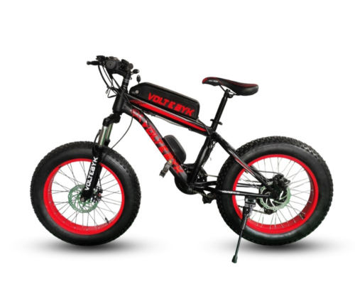 Fat Bike