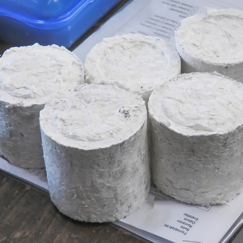 Paper Waste Briquettes