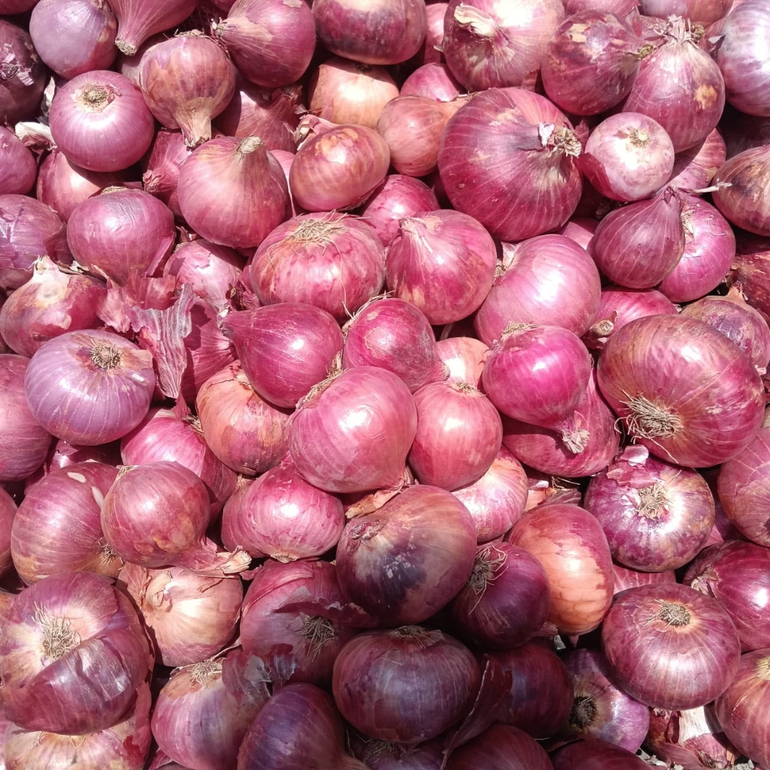 Onion
