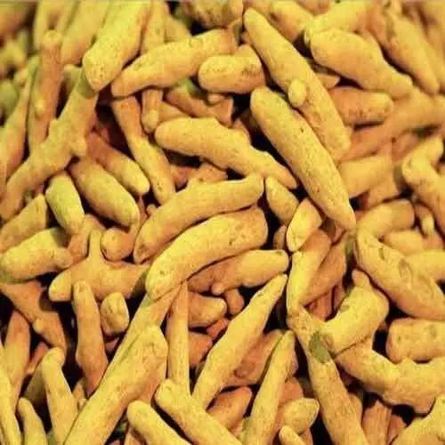 Dried Turmeric Finger