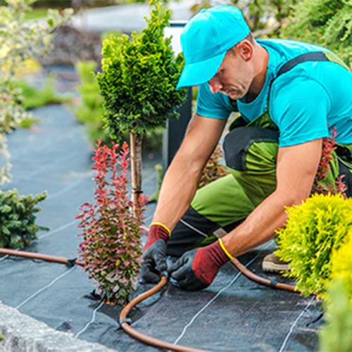 Expert Help And Advice