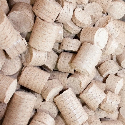 Bagasse Briquettes