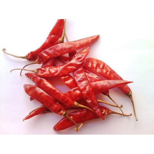 Dry Red Chilli