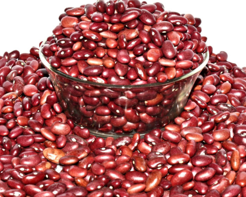 Kashmiri Rajma Seed