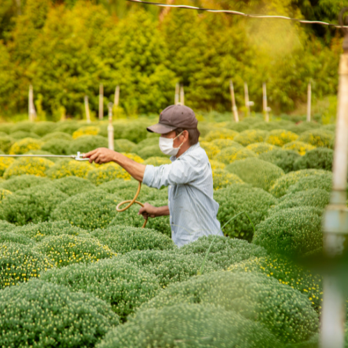 Agricultural Pesticide