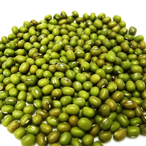 Green Mung Bean