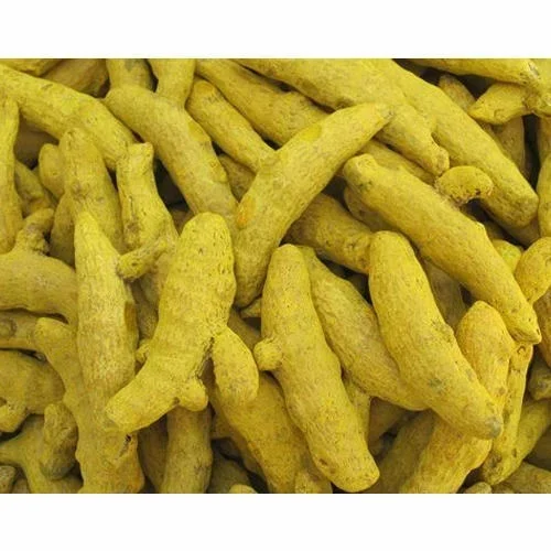 Turmeric Finger