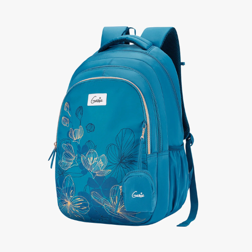 School Backpacks
