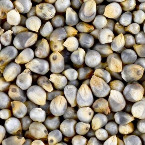 White Pepper