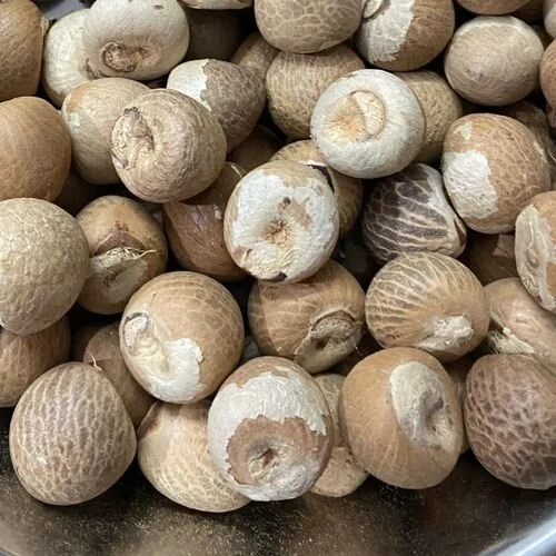 Areca nut