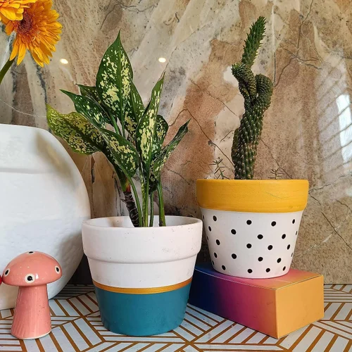 Ceramic Pots And Planters
