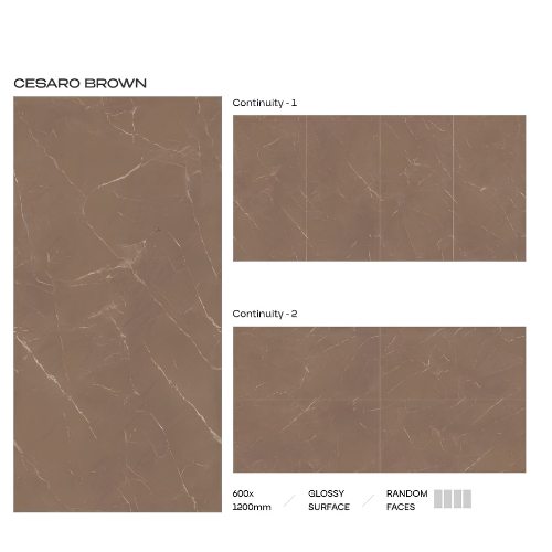 Cesaro Brown Glossy Surface 600X1200 MM