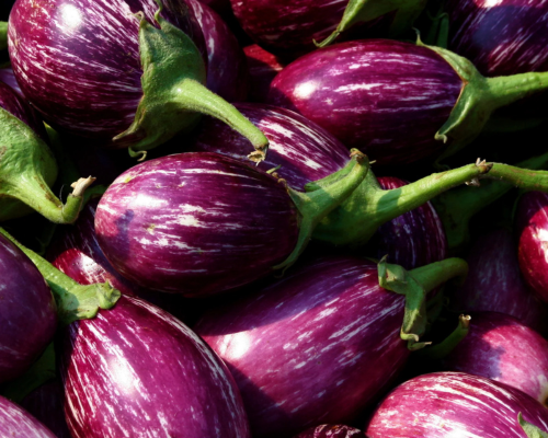 Brinjal