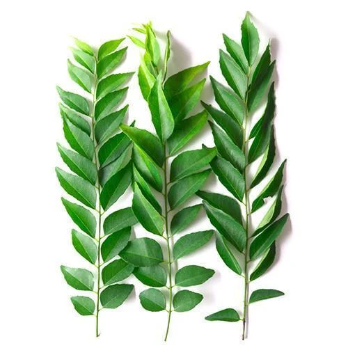 Curry Leaf