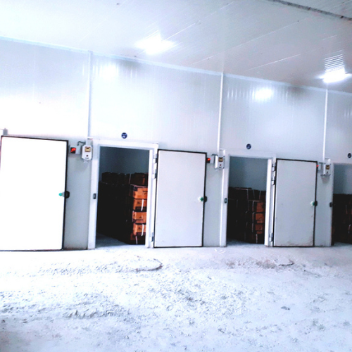 1000 MT Cold Storage