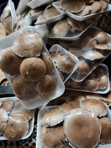 Frozen Portobello Mushroom