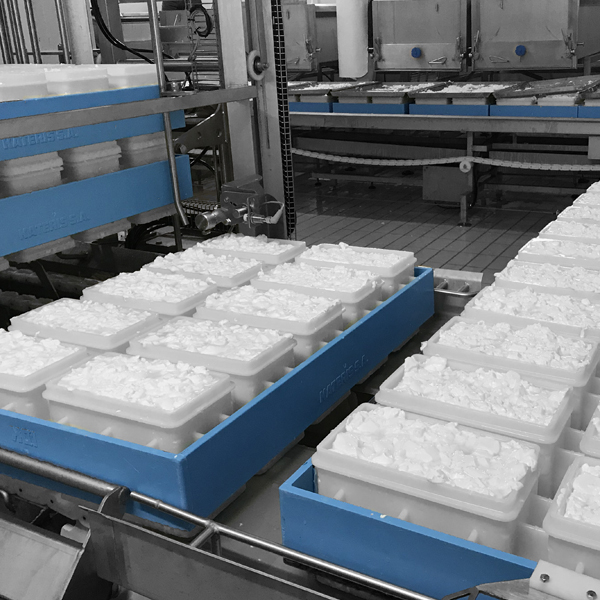 Feta Production Machines