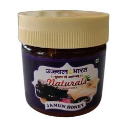 Ujjval Bharat 100gm Jamun Honey