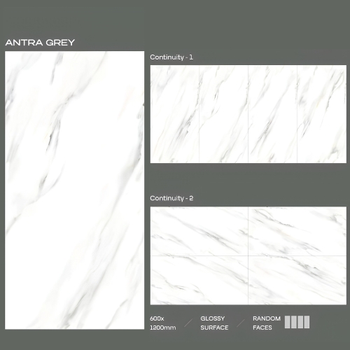 Antra Grey Glossy Surface 600X1200 MM