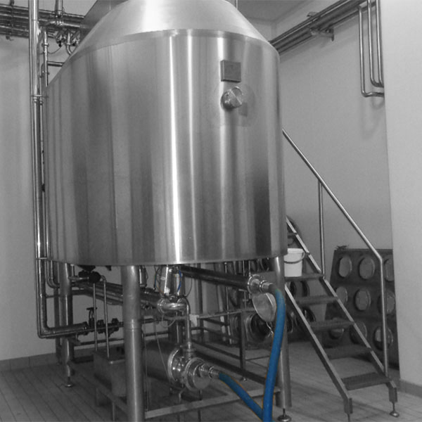 Yellow Type Cheese Production