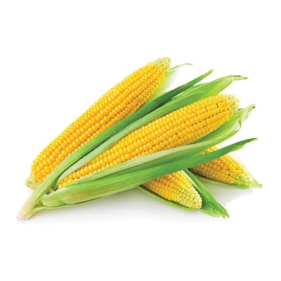 Maize Seeds
